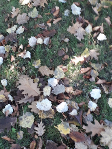 Opinii despre Cafe Estrela în Guimarães - Cafeteria