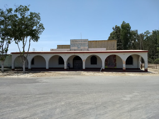 Museo Paleontológico de Ocucaje