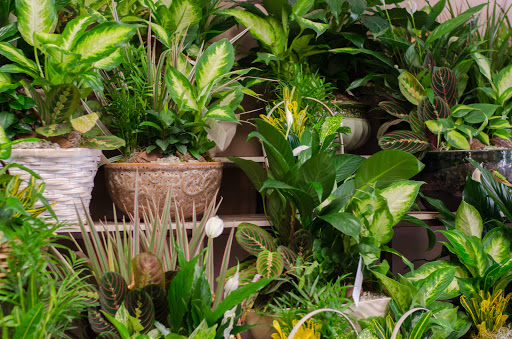 Florist «Flowermart Florist», reviews and photos, 185 E Indiantown Rd #221, Jupiter, FL 33477, USA