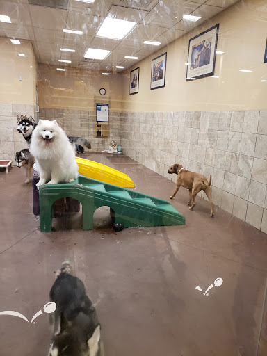 Pet Supply Store «PetSmart», reviews and photos, 315 Gellert Blvd, Daly City, CA 94015, USA