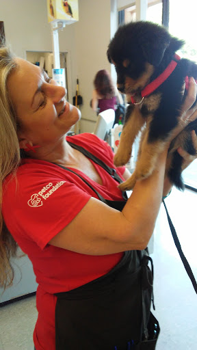 Pet Supply Store «Petco Animal Supplies», reviews and photos, 5260 W Baseline Rd, Laveen Village, AZ 85339, USA