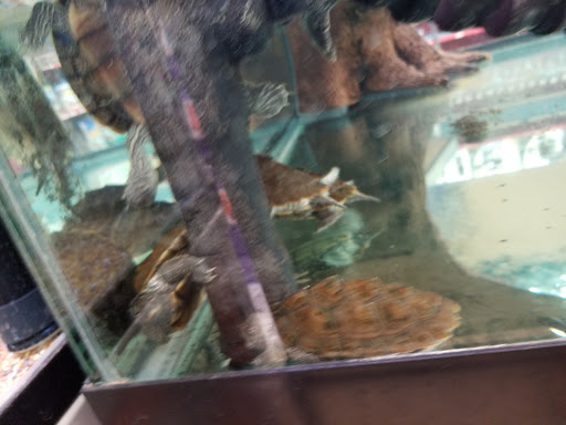 Pet Supply Store «Petco Animal Supplies», reviews and photos, 10190 W McDowell Rd, Avondale, AZ 85323, USA