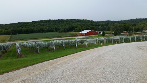 Winery «Madison County Winery», reviews and photos, 3021 St Charles Rd, St Charles, IA 50240, USA