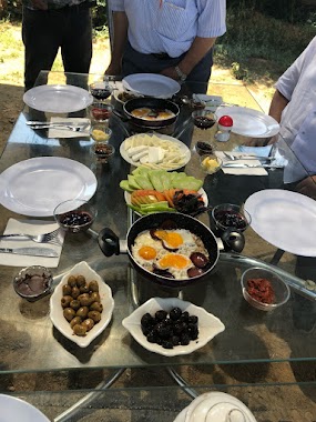 Orman Canlı Alabalık Tesisi