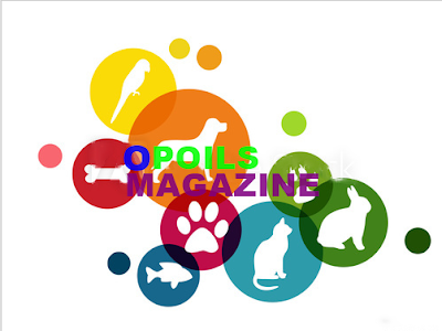 O Poils Magazine à Rahon