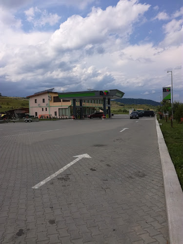RO Sibiu, Seica Mare - <nil>