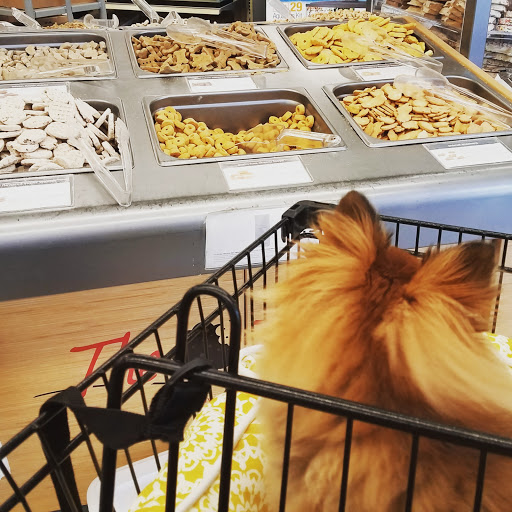 Pet Supply Store «Petco Animal Supplies», reviews and photos, 210 Fortune Blvd, Milford, MA 01757, USA