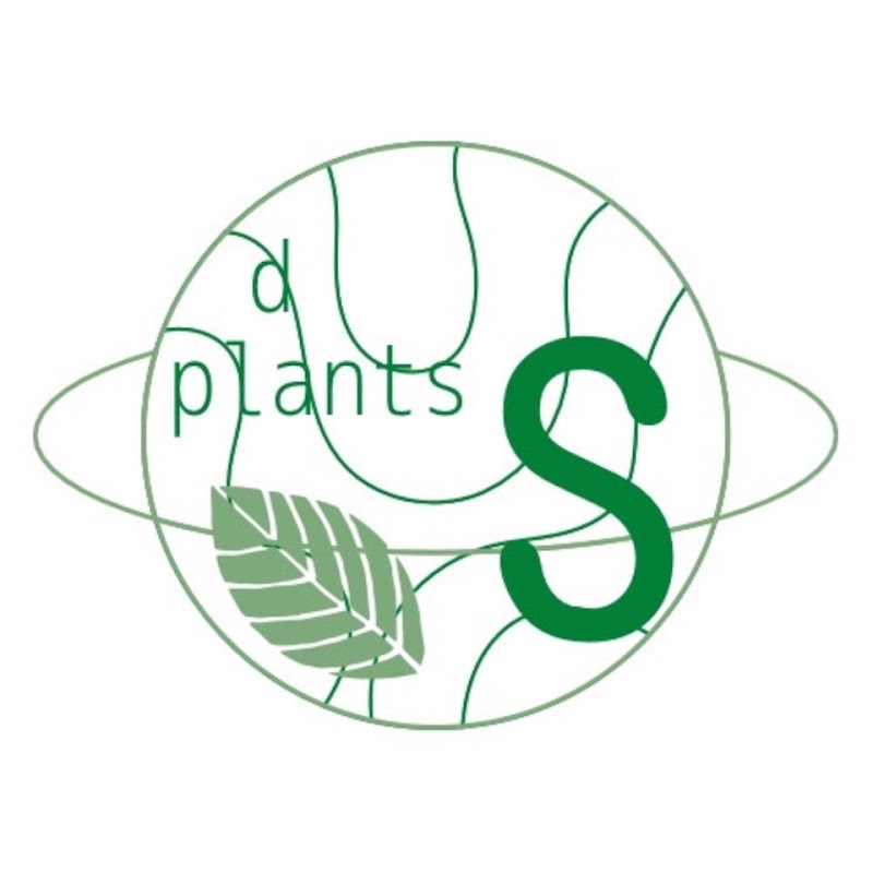 d plants S