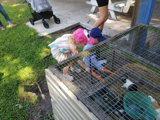 Animal Rescue Service «Nanny’s Educational Zoo And Rescue», reviews and photos, 1139 Livingston Rd, Lutz, FL 33559, USA