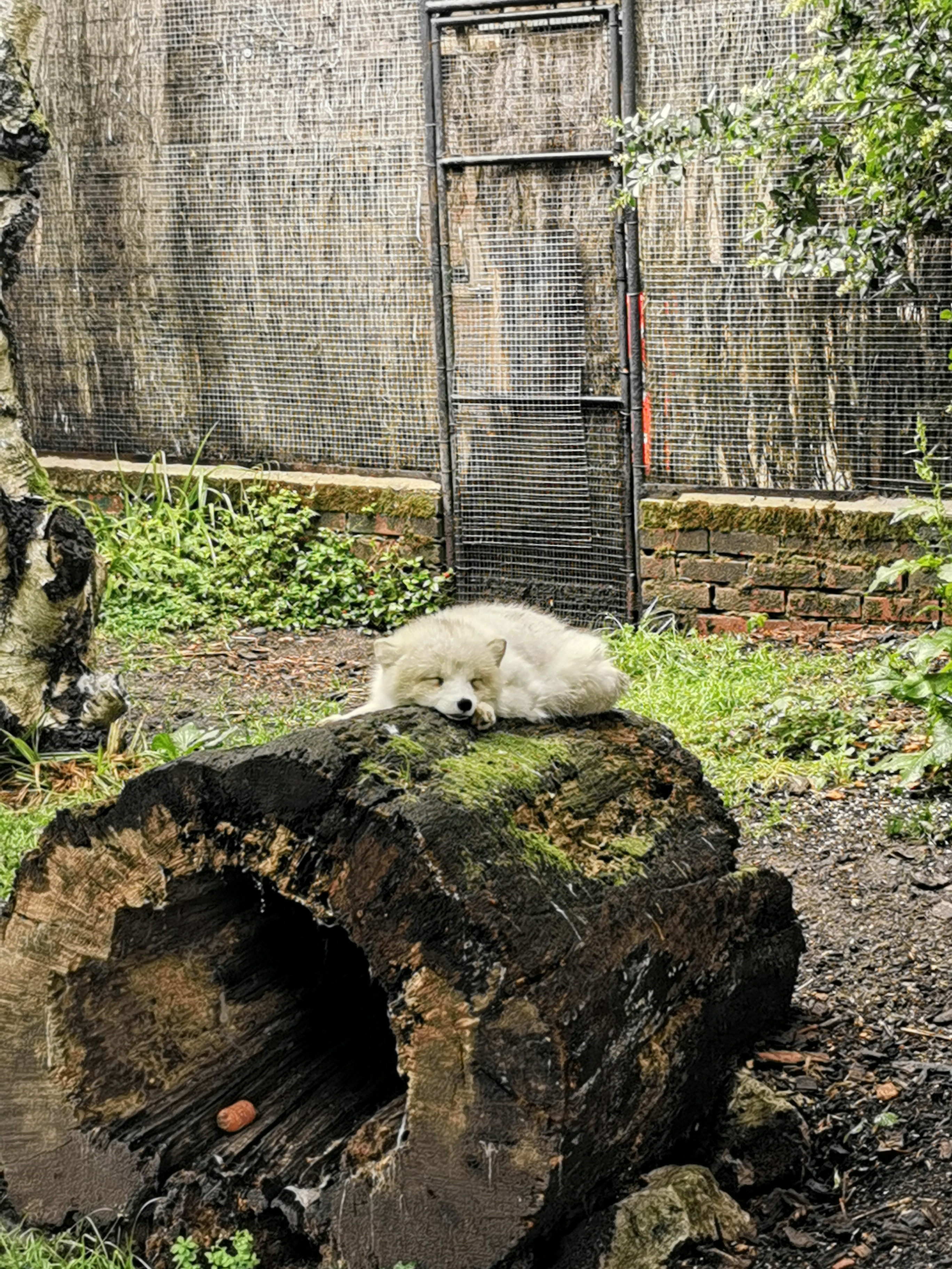 Photo n° 11 de l'avis de Bianca.a fait le 05/06/2022 à 15:50