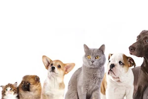 Veterinary Clinic Caninovet image