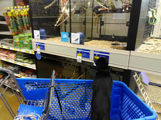 Pet Supply Store «PetSmart», reviews and photos, 2150 Paxton Ln SW, Lilburn, GA 30047, USA