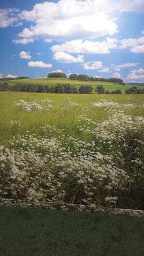 Tattoo Shop «Voodoo Tattoos», reviews and photos, 250 N Main St, Barnegat, NJ 08005, USA