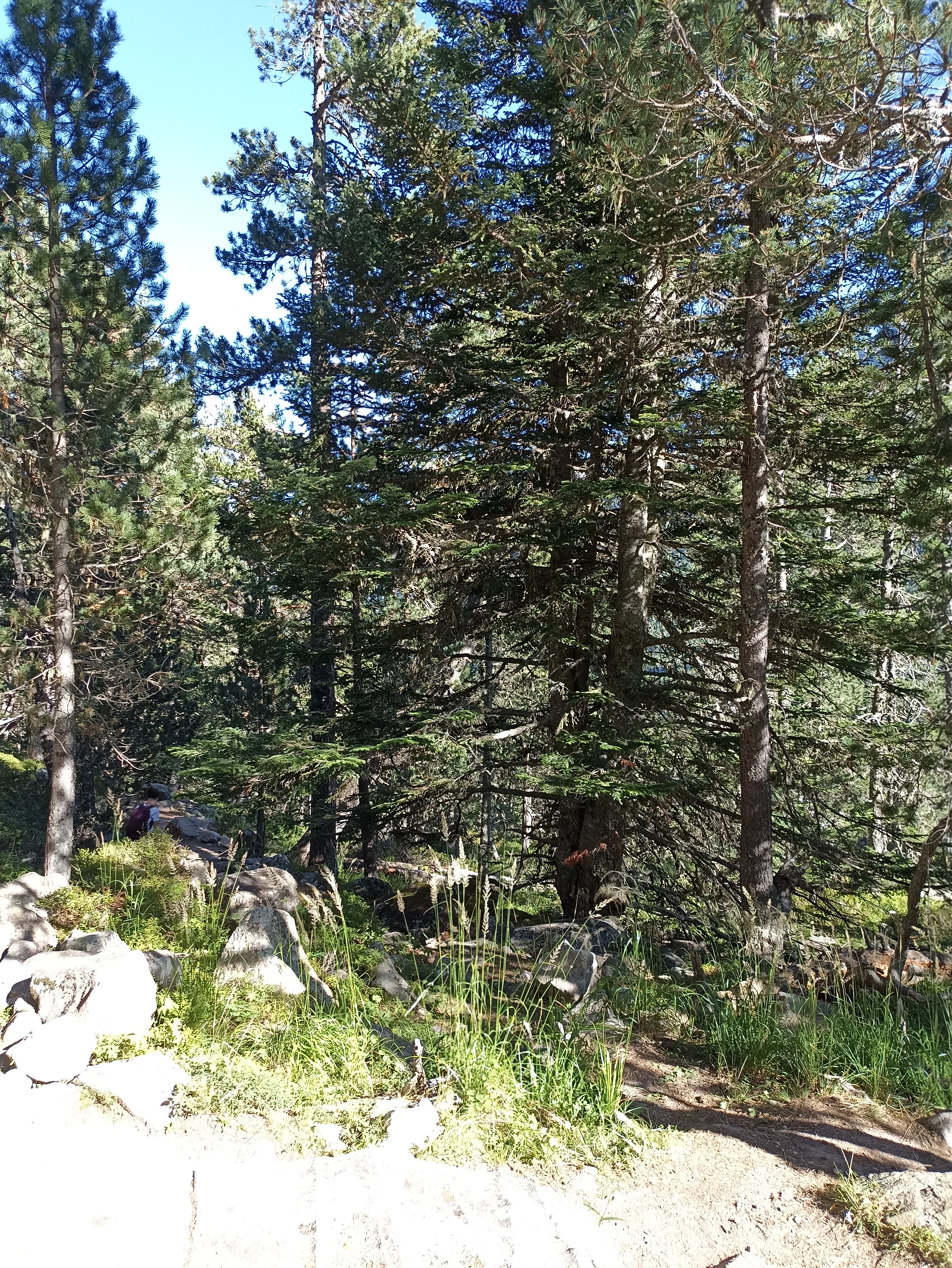 Photo n° 16 de l'avis de FIS.� fait le 15/08/2023 à 14:11