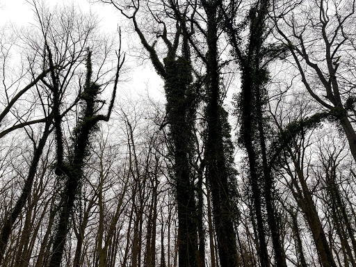 Nature Preserve «Welwyn Preserve», reviews and photos, 100 Crescent Beach Rd, Glen Cove, NY 11542, USA