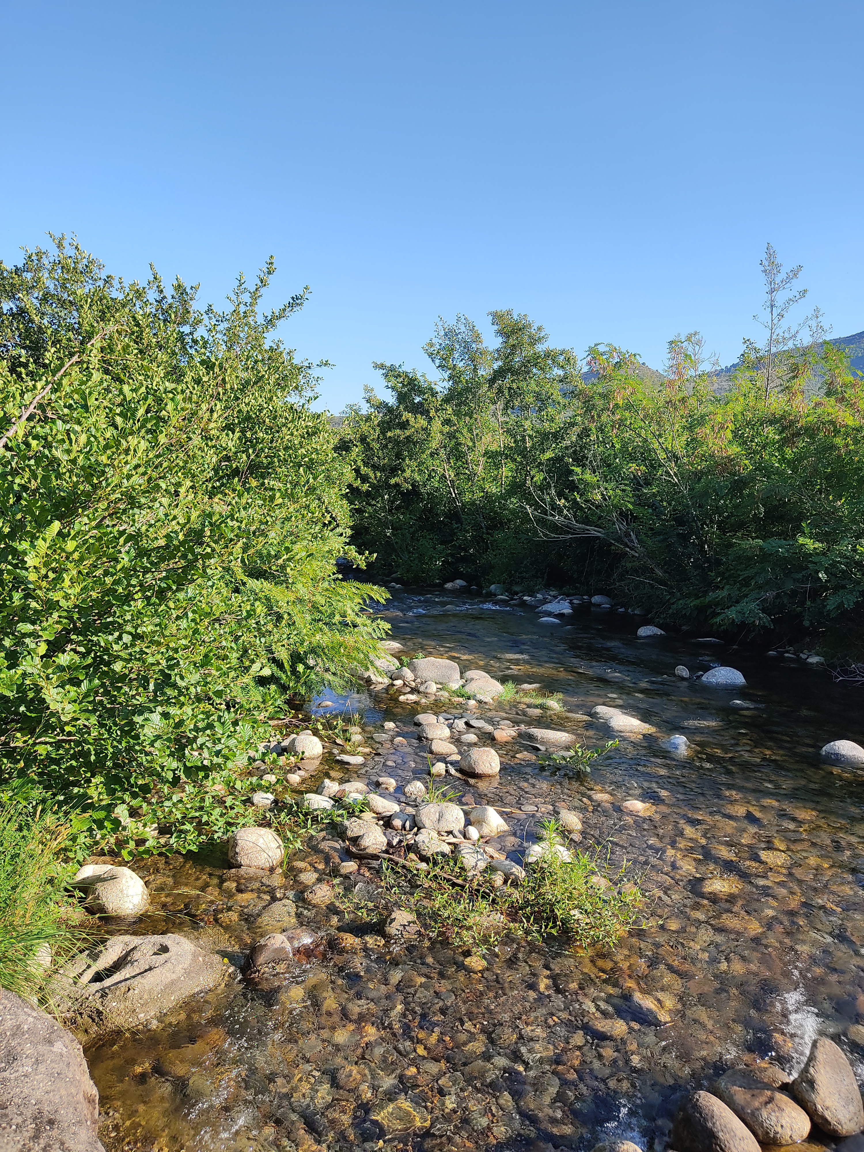 Photo n° 4 de l'avis de Lionel.a fait le 07/08/2022 à 17:55