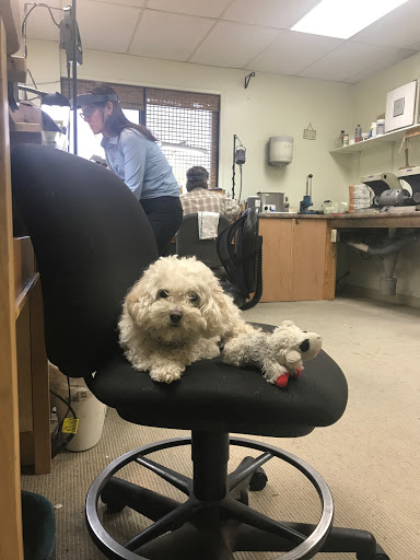 Explore mason jar tattoo ideas, creative tattoo ideas in Cadillac, available at Wexford Jewelers