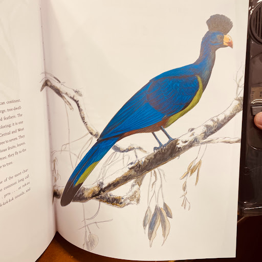 Book Store «Barnes & Noble», reviews and photos, 1812 Sam Rittenberg Blvd, Charleston, SC 29407, USA