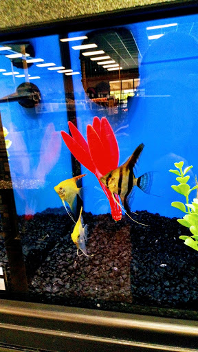 Pet Store «Pet Depot», reviews and photos, 10008 Memorial Pkwy SW, Huntsville, AL 35803, USA