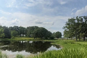 Sullivan City Lake Disc Golf Course image