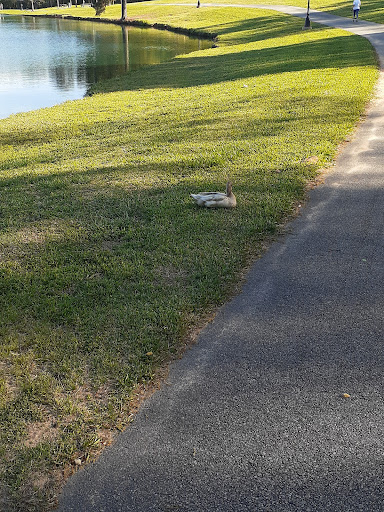 Park «Salem Park», reviews and photos, 1724 GA-155 N, McDonough, GA 30252, USA