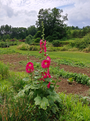 Farm «Heron Pond Farm», reviews and photos, 299 Main Ave, South Hampton, NH 03827, USA