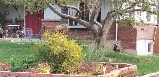 Park «Village Green Park», reviews and photos, 3590 N Carefree Cir, Colorado Springs, CO 80917, USA