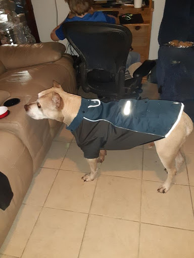 Pet Supply Store «PetSmart», reviews and photos, 849 E 23rd St, Panama City, FL 32405, USA