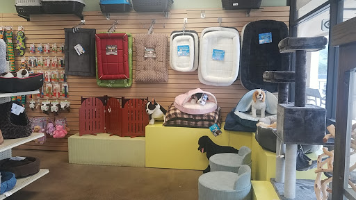 Pet Store «Pet Works», reviews and photos, 999 E Basse Rd #129, San Antonio, TX 78209, USA