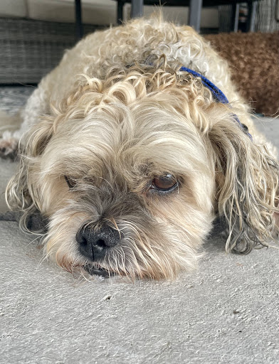 2901 NJ-37, Toms River, NJ 08753, USA