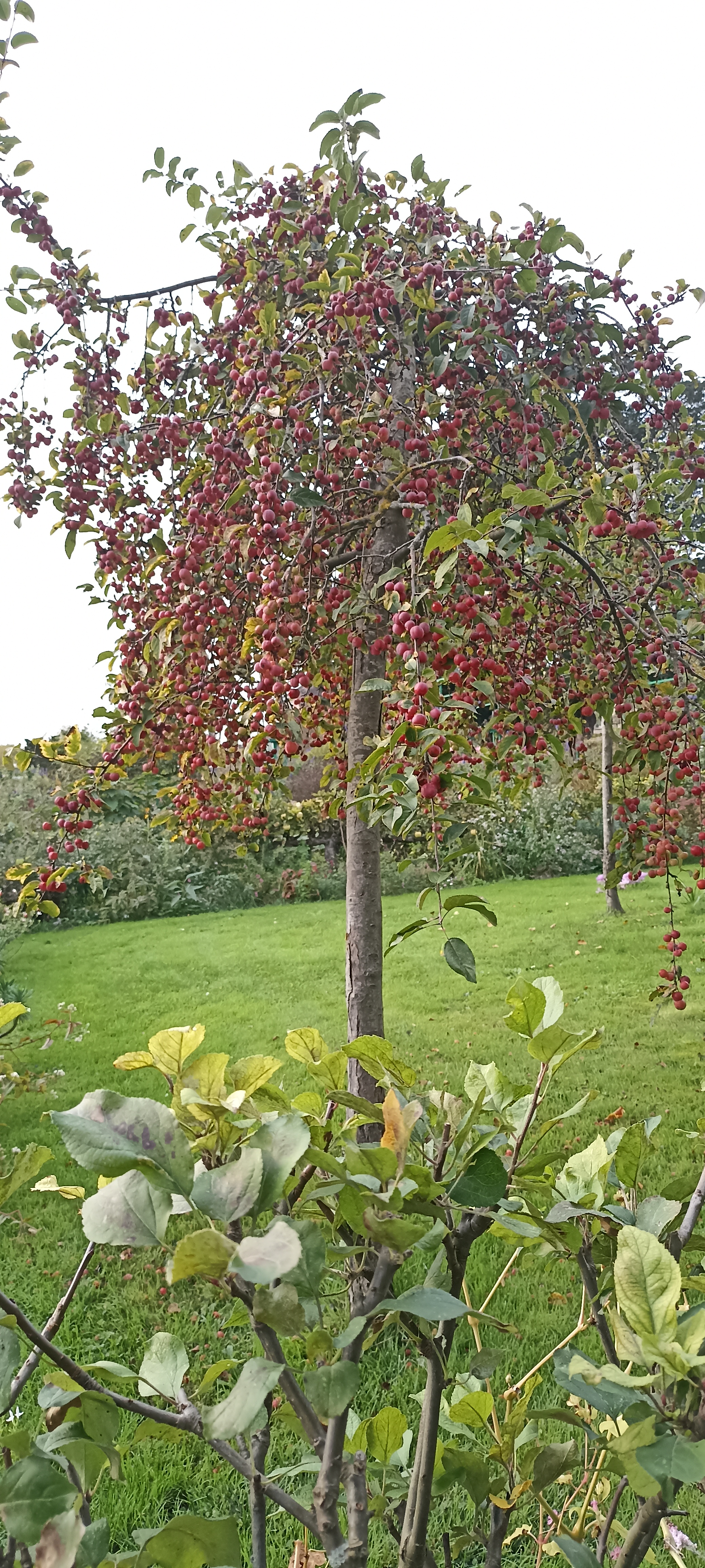 Photo n° 15 de l'avis de Verginia.H fait le 01/11/2022 à 18:08