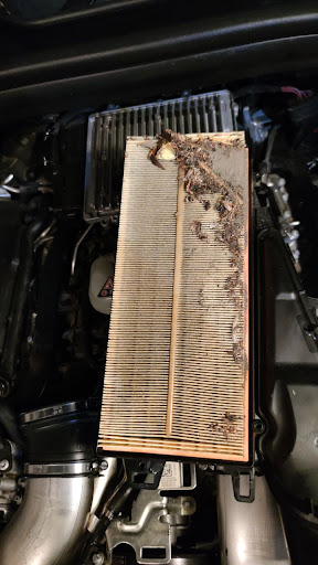 Used Car Dealer «Definitive Motors», reviews and photos, 203 116th Ave NE, Bellevue, WA 98004, USA