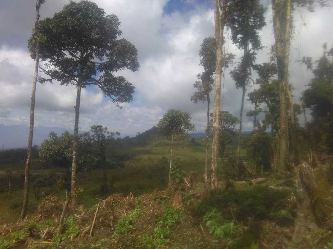 Caverna Olaya Perlamayo