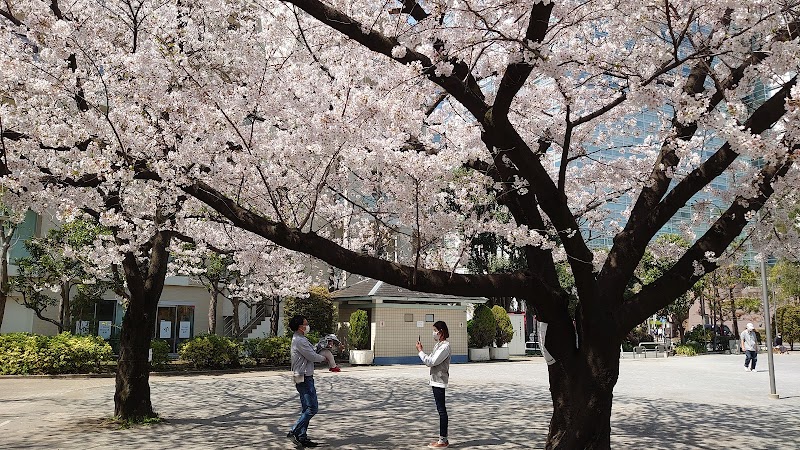 品川区立東八ツ山公園