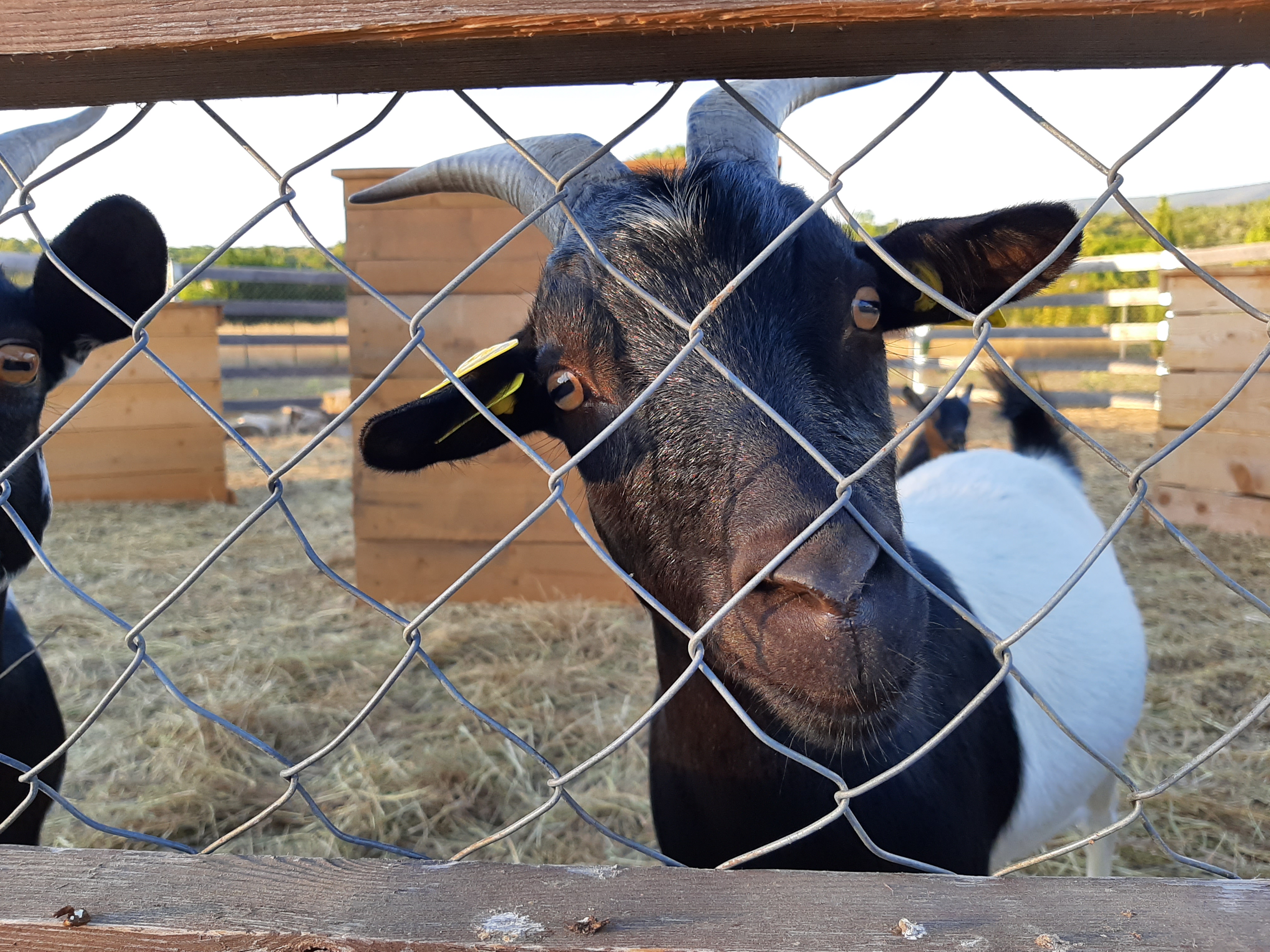 Photo n° 2 de l'avis de Jessica.e fait le 18/08/2019 à 21:07