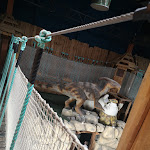 Photo n°5 de l'avis de G... fait le 03/07/2021 à 18:47 sur le  Dino Adventure Park à Weiterstadt