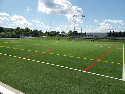Soccer Field - Iceland - Mississauga