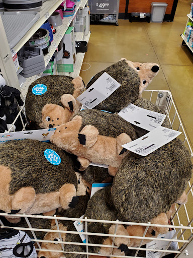 Pet Supply Store «PetSmart», reviews and photos, 3210 E Lynn Blvd, Sterling, IL 61081, USA