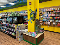 Petagogy - Photo 9 - Car repair in Pittsburgh, PA, Jacksonville