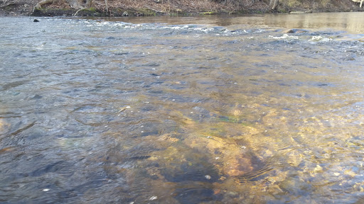 Golf Course «Fairchild Wheeler Golf Course», reviews and photos, 2390 Easton Turnpike, Fairfield, CT 06825, USA