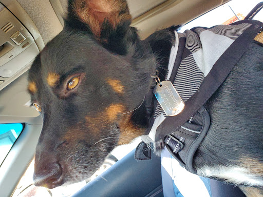 Pet Supply Store «Petsense Crossville», reviews and photos, 68 The Crossings, Crossville, TN 38555, USA