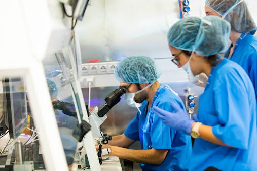 IVI Bilbao - IVI Bilbao