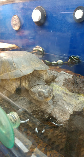 Pet Supply Store «PetSmart», reviews and photos, 320 2nd St S, Waite Park, MN 56387, USA