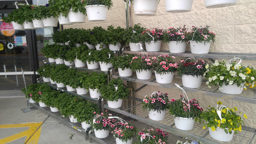 Home Goods Store «Shopko Sandy City», reviews and photos, 2165 9400 S, Sandy, UT 84093, USA