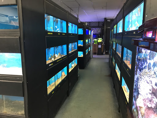 Pet Store «Oceans Of Pets», reviews and photos, 1794 Diamond Hill Road, Woonsocket, RI 02895, USA