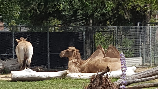 Animal Park «Detroit Zoo Safari Station Exit», reviews and photos, Ludlow Pl, Huntington Woods, MI 48070, USA