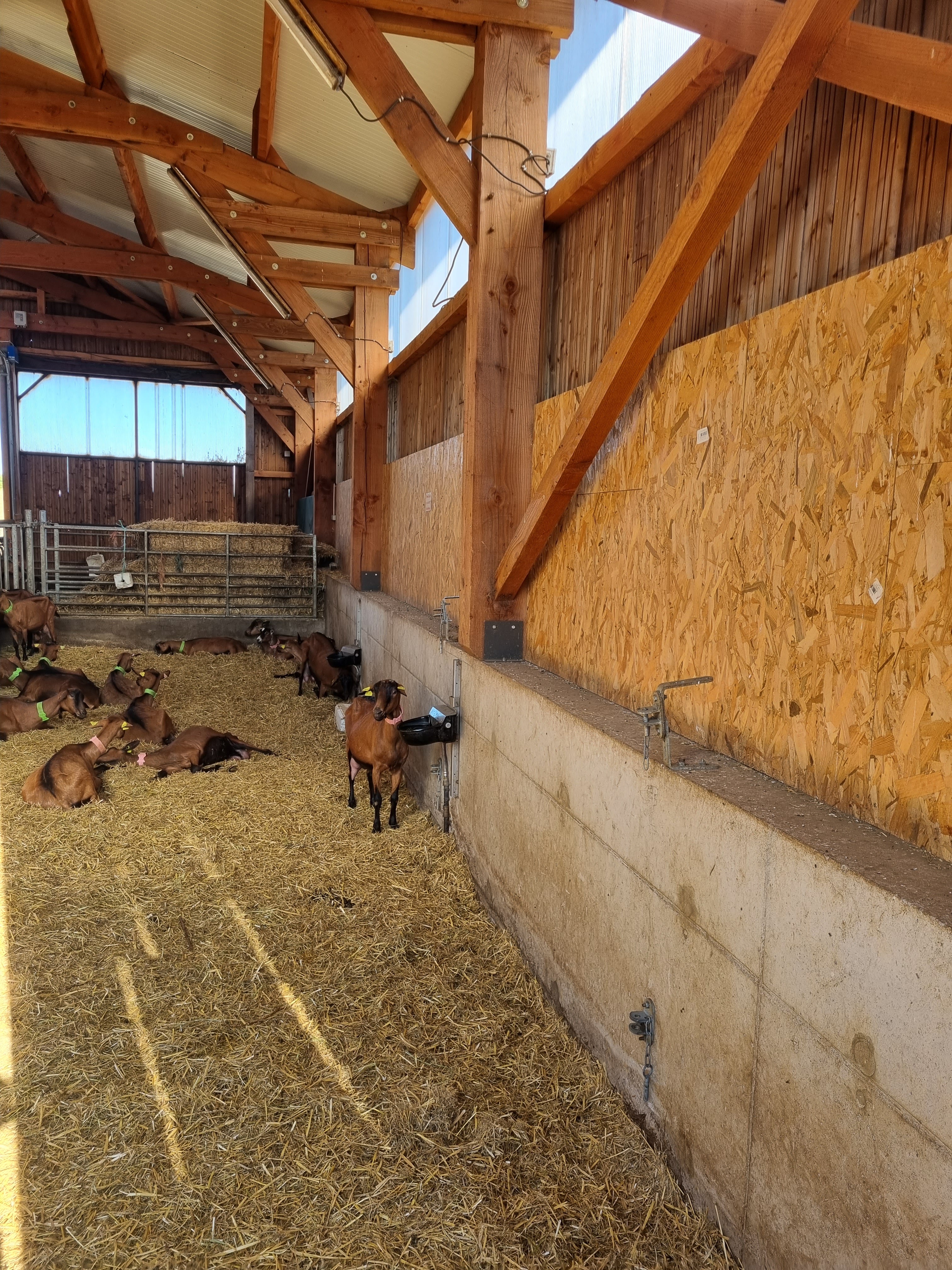 Photo n° 1 de l'avis de Ludivine.u fait le 10/09/2023 à 17:25