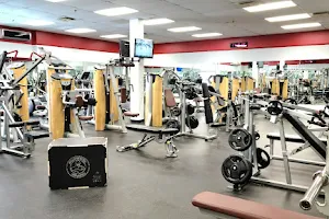 XL Gym Inc image