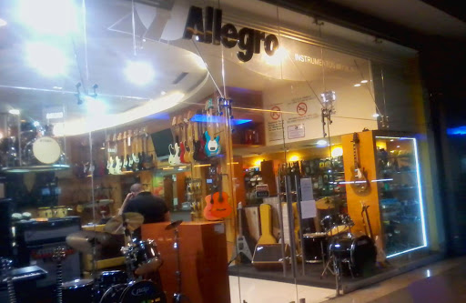 Allegro Instrumentos Musicales Líder