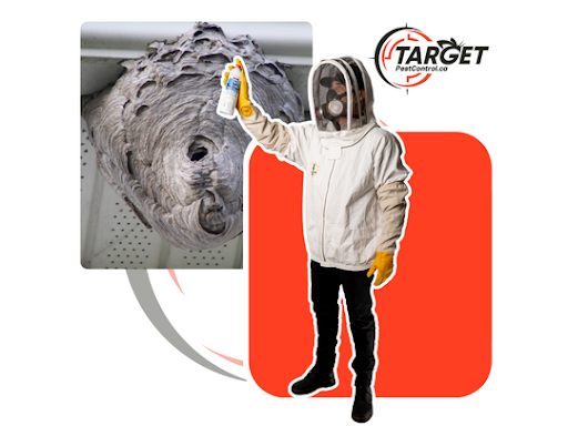 Target Pest Control